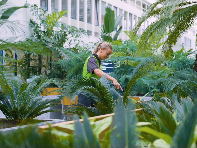 CV Interieurbeplanting (01) (1)